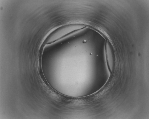 X0000063450984200601271535