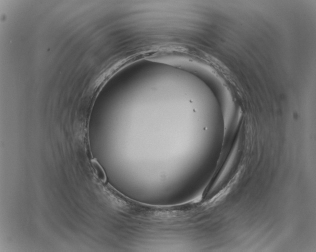 X0000063450985200601271535