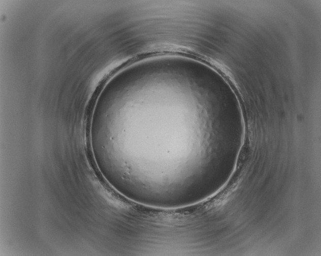 X0000063450987200601271534