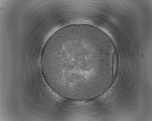 X0000063450990200601271534