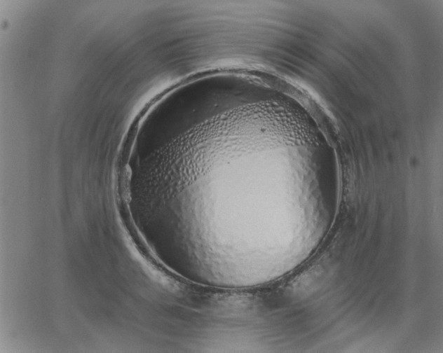 X0000063450991200601271534