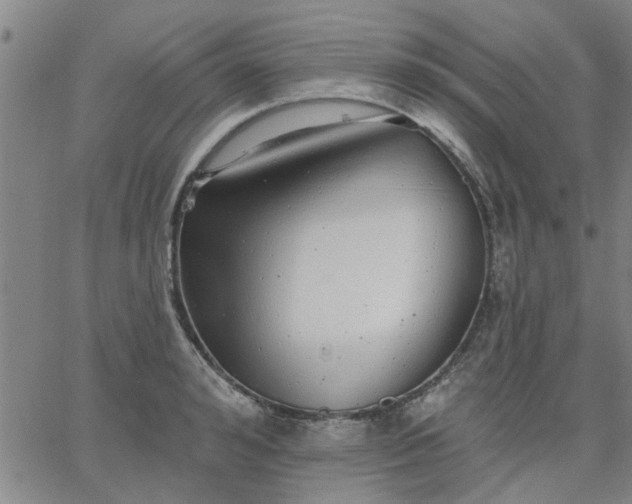 X0000063450992200601271534