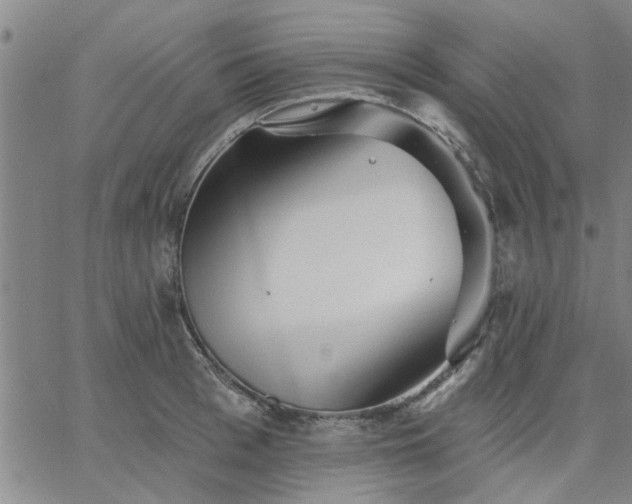 X0000063450993200601271534