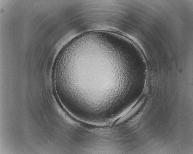 X0000063450995200601271534