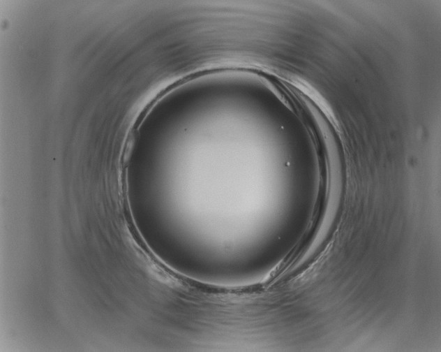 X0000063450996200601271534