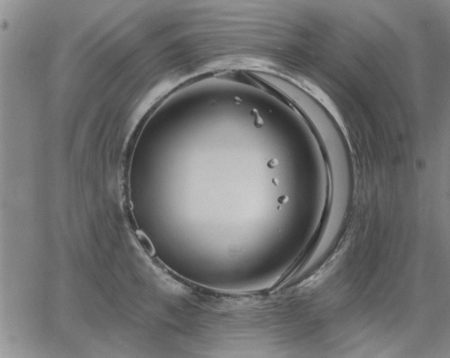 X0000063450997200601271534