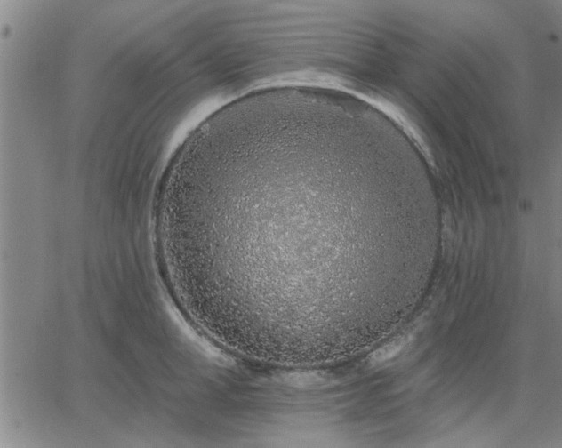 X0000063450998200601271534