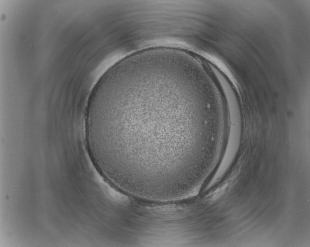 X0000063450999200601271534