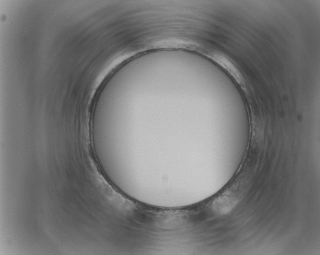 X0000063451000200601271534