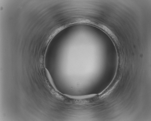 X0000063451001200601271534