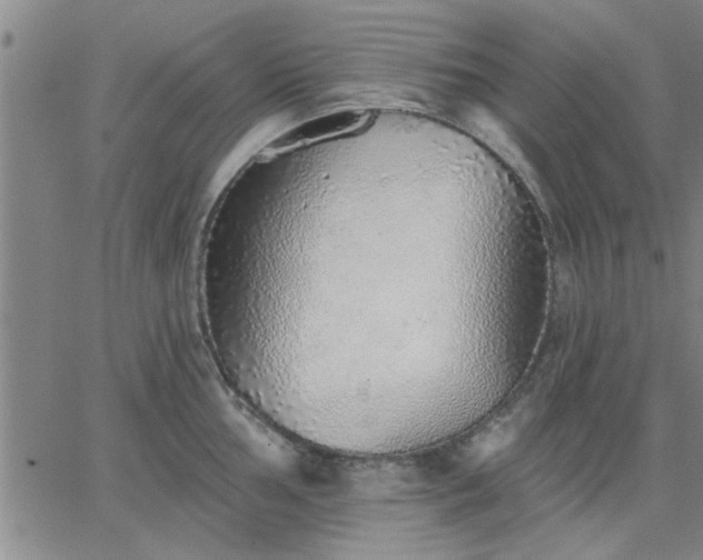 X0000063451002200601271534