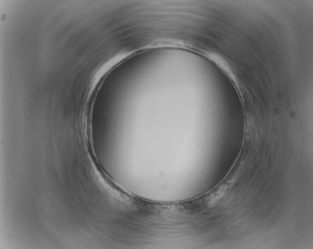 X0000063451003200601271534