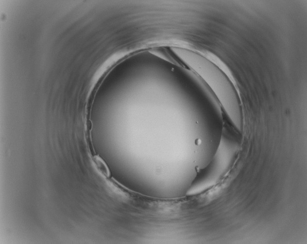 X0000063451005200601271534