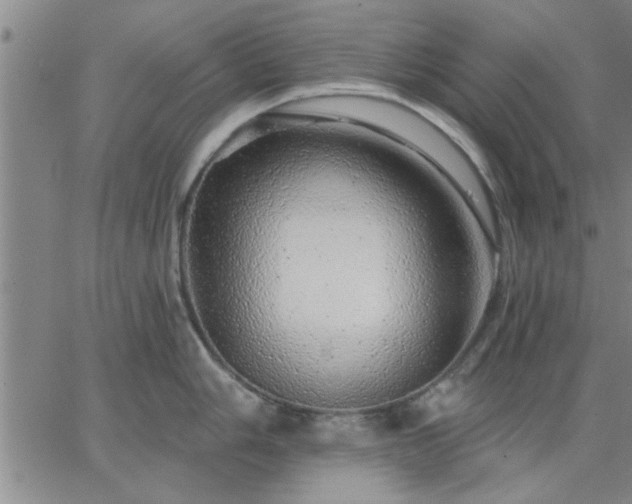 X0000063451006200601271534