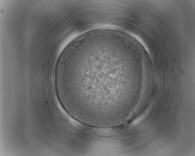 X0000063451007200601271534