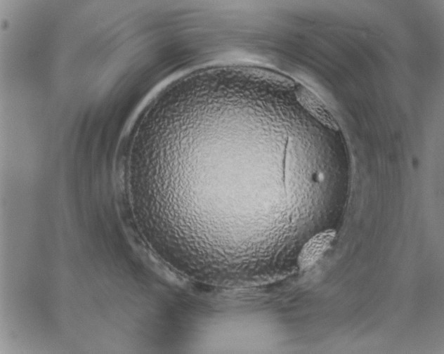 X0000063451008200601271534