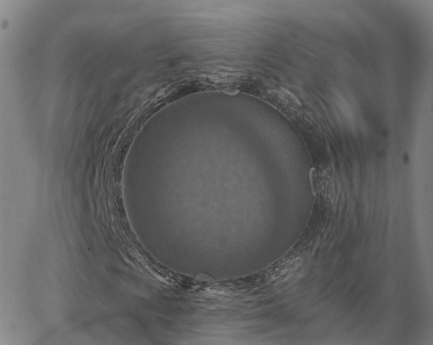 X0000063451009200601271533