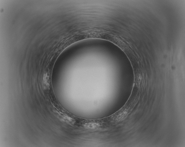 X0000063451010200601271533