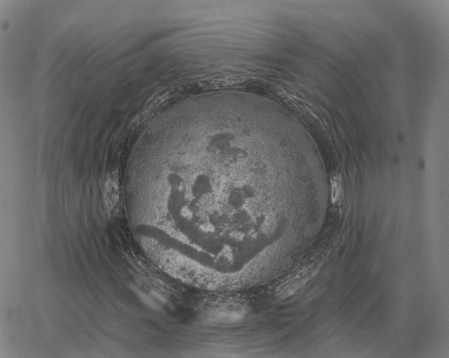 X0000063451011200601271533