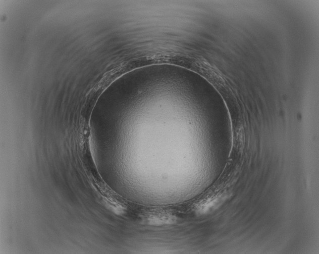 X0000063451012200601271533