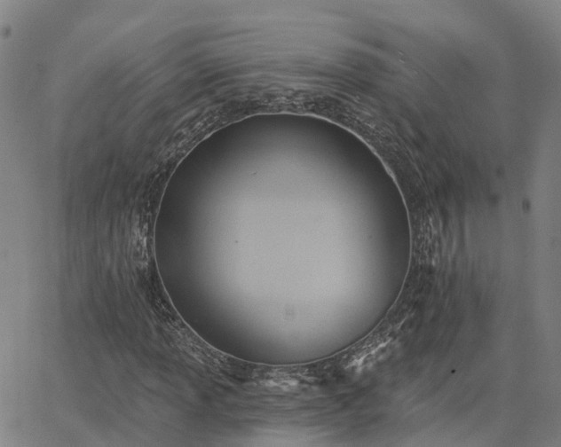 X0000063451013200601271533