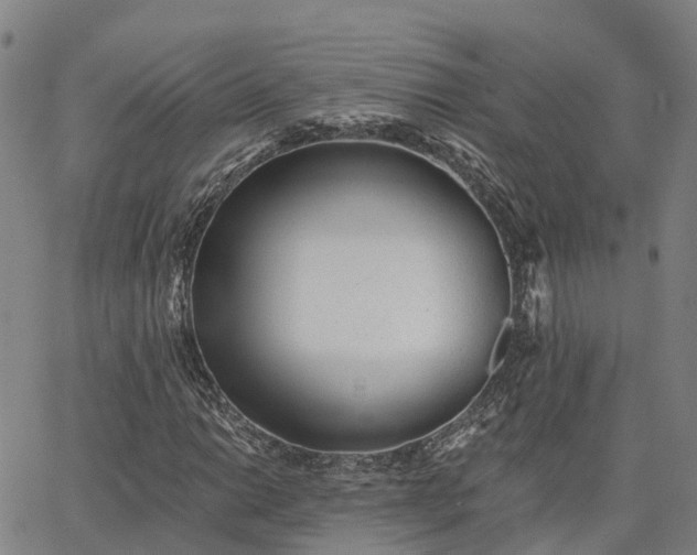 X0000063451014200601271533