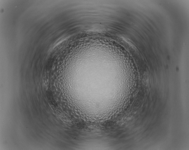 X0000063451015200601271533