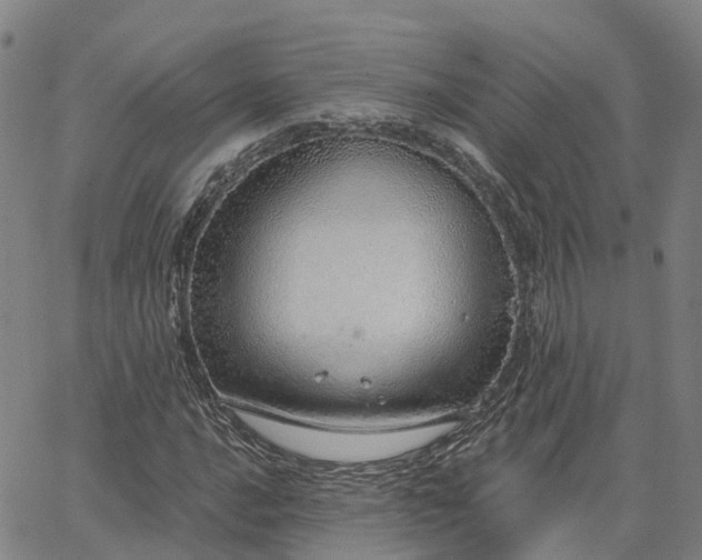 X0000063451016200601271533