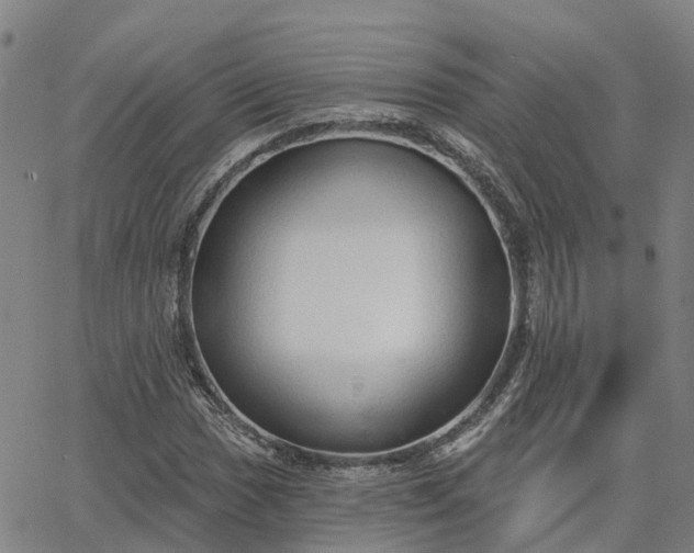 X0000063451017200601271533