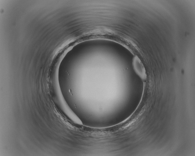 X0000063451018200601271534