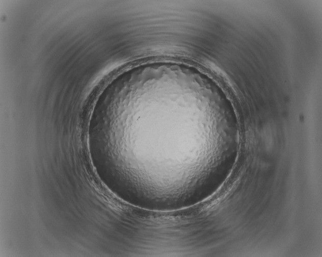 X0000063451019200601271534