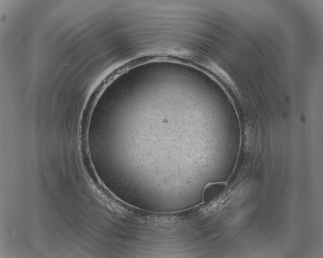 X0000063451020200601271534