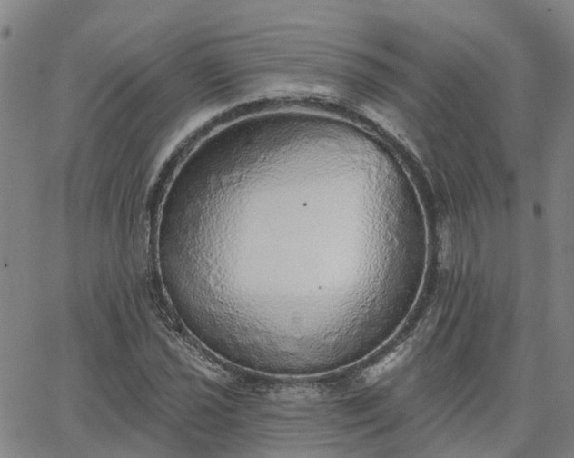 X0000063451021200601271534