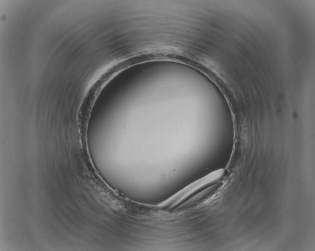 X0000063451022200601271534