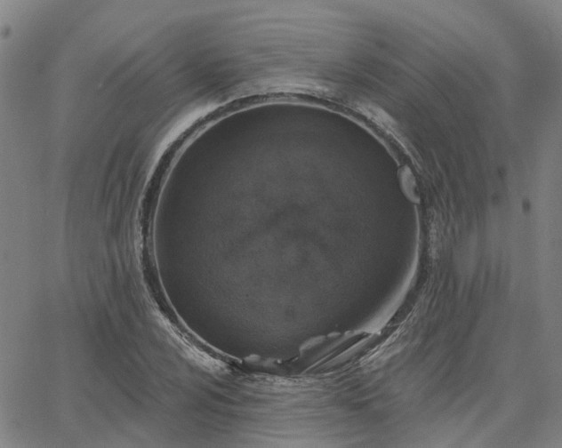 X0000063451024200601271534