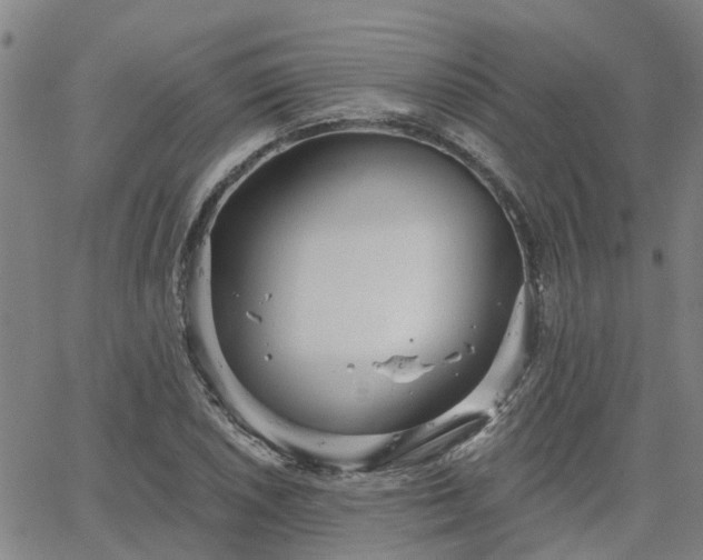 X0000063451026200601271534