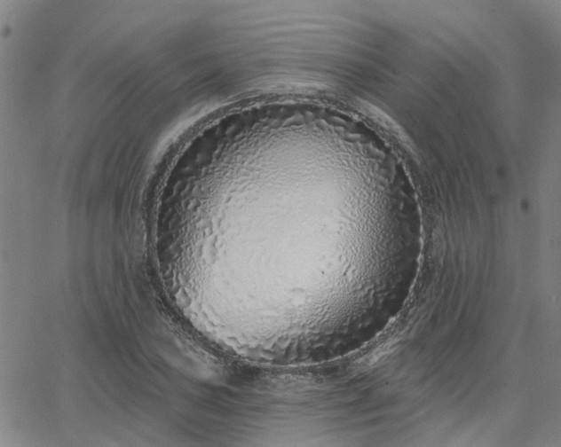 X0000063451027200601271534