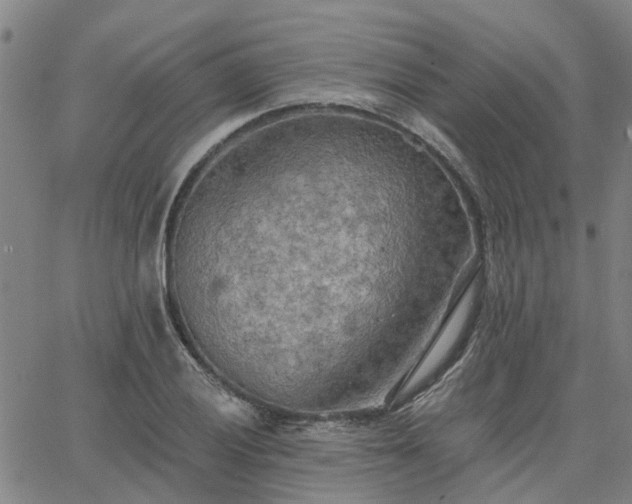 X0000063451028200601271534