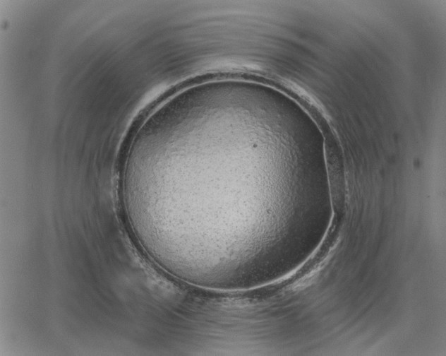 X0000063451029200601271534