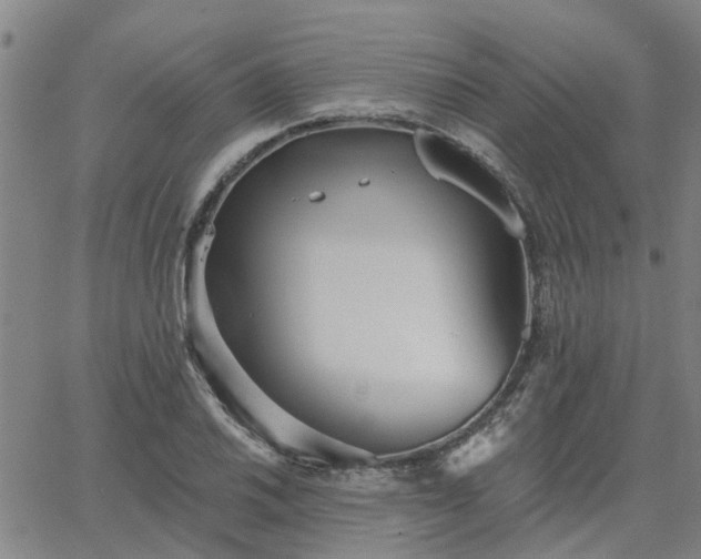 X0000063451030200601271534