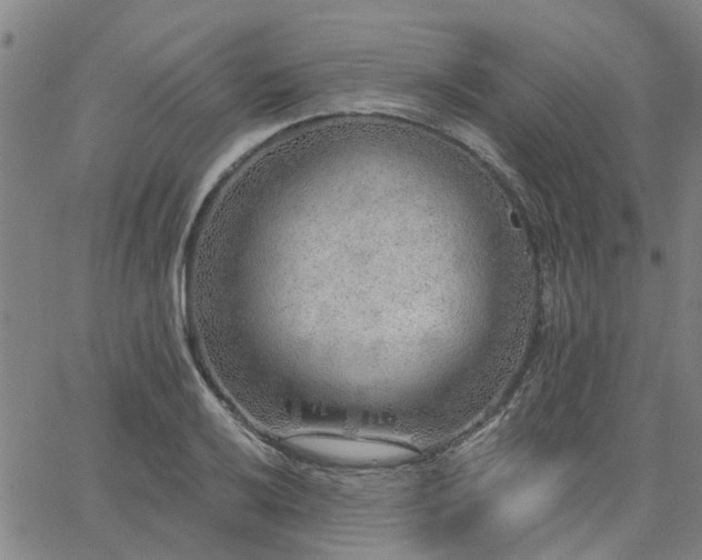 X0000063451032200601271534