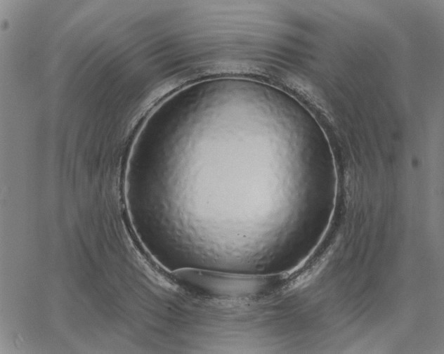 X0000063451033200601271534