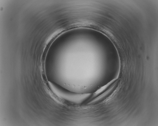 X0000063451034200601271534