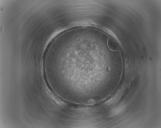 X0000063451035200601271534