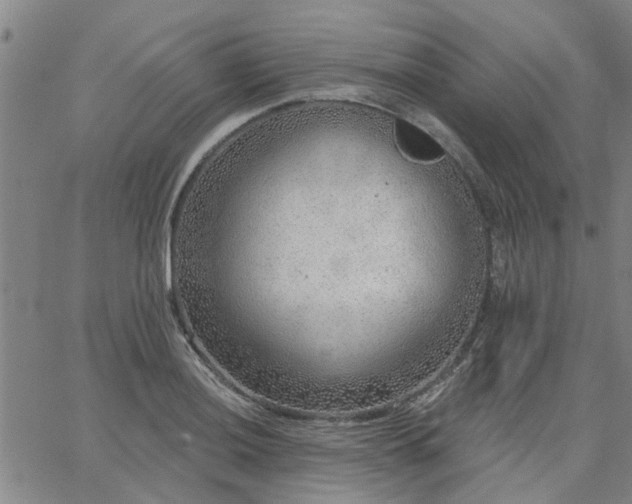 X0000063451036200601271534