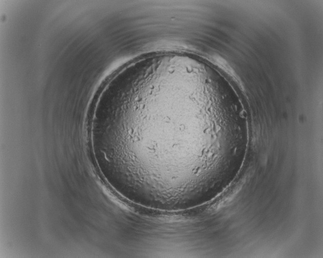 X0000063451037200601271534