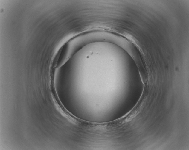 X0000063451038200601271534