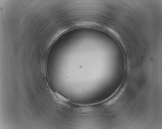 X0000063451041200601271534