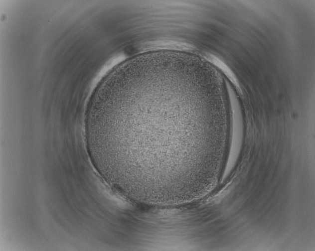 X0000063451043200601271534