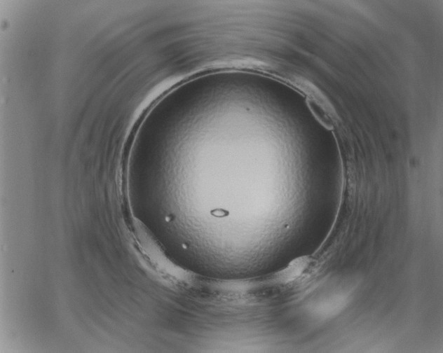 X0000063451044200601271534